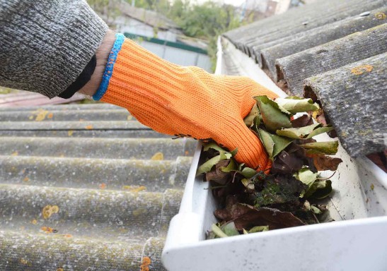 Gutter Guard Cleaning